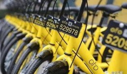 清远小黄车最新爆料信息,揭秘运营幕后真相与未来走向